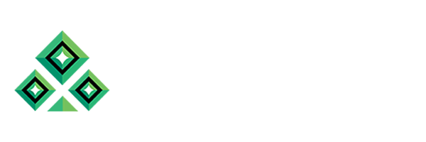 Logo van studio NetGame