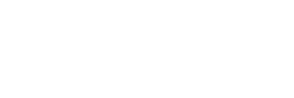 Logo van studio Novomatic